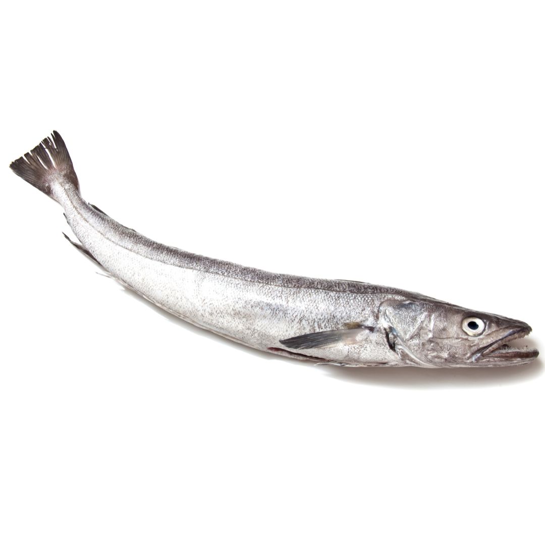 Hake